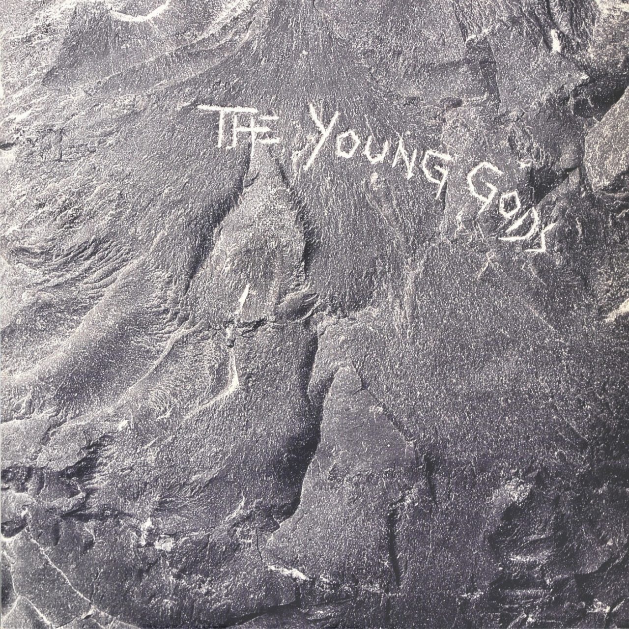 THE YOUNG GODS (Deluxe Edition)